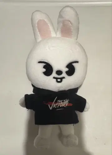straykids skzoo 미니 봉제 인형 Lee 비트 리노