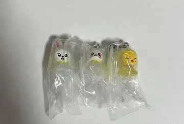 stray kids 메지루시 액세서리 Lee 비트 지니 레트 포가리