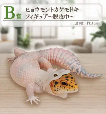 제일복권 파충류 및 양서류 B상