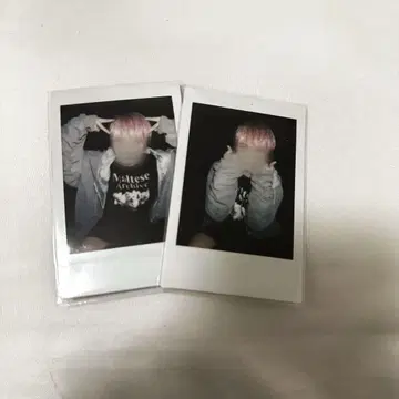 세이브 포인트 유노 continue 입장 특전