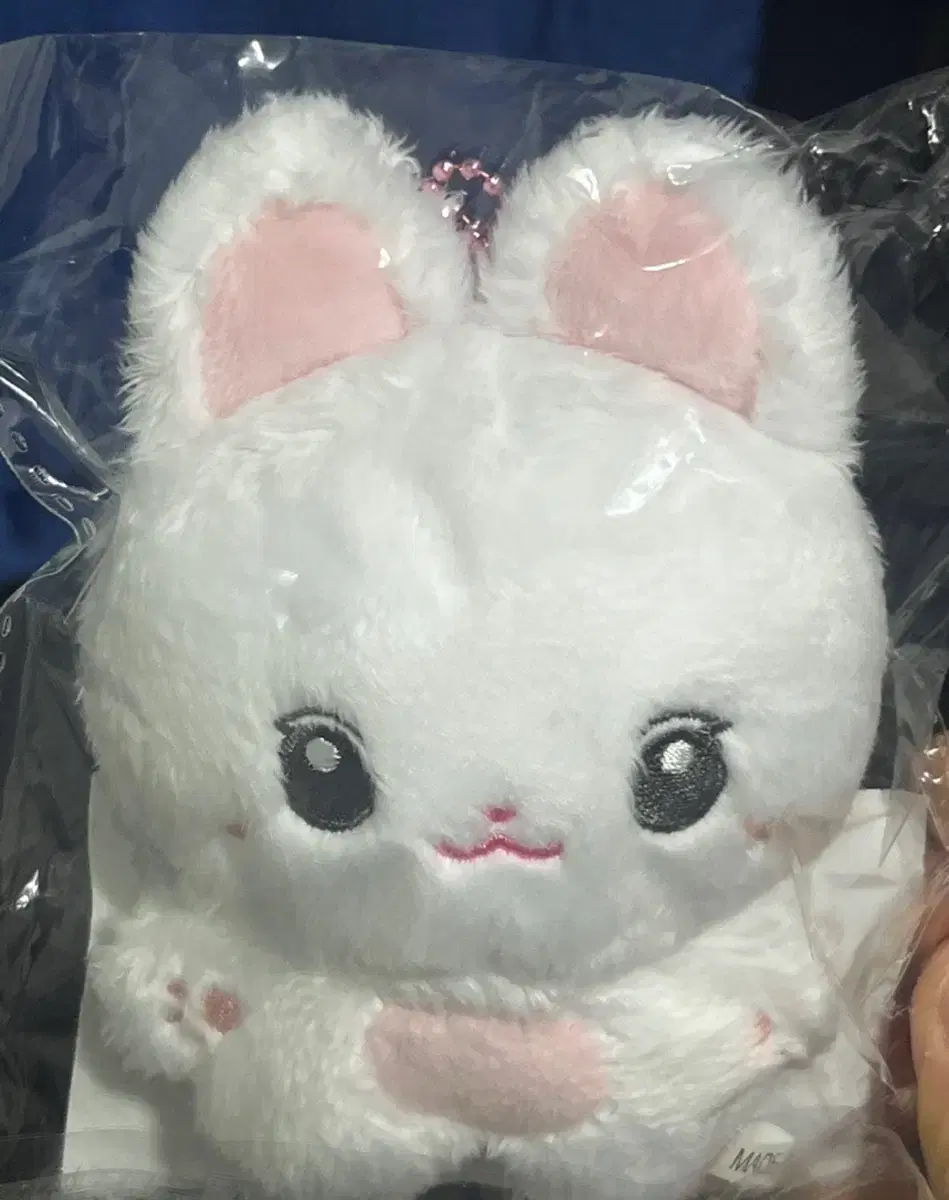 Kim Jiwon doll Kim Toding