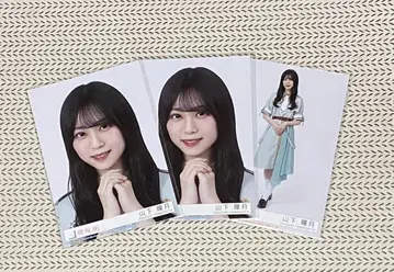 사쿠라자카46 야마시타 시즈키