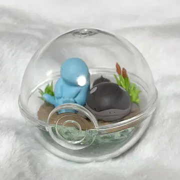 테라리움 느긋한 시간 누오 & 도오 포켓몬