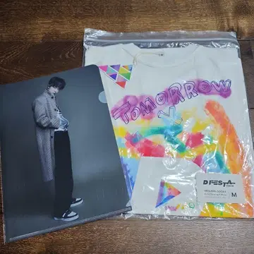 DFESTA TXT 세트