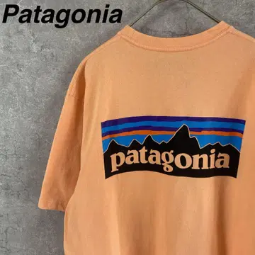 Patagonia 티셔츠 백 프린트 S 사이즈 오렌지 계열 반팔
