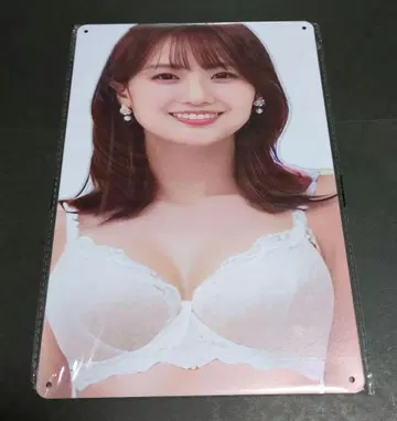 [새상품] 이노우에 세이카 메탈 보드 양철 간판