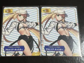 TYPE-MOON 애니메이트 특전 아르토리아 캐스터 세트
