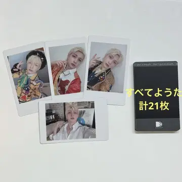 팬더 드래곤 요타 하피카 폴라로이드 21매 세트