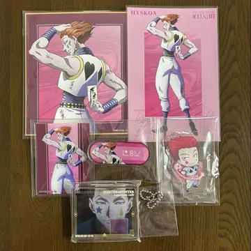 HUNTER x HUNTER 헌터헌터 히소카 색지 카드 아크릴 스탠드 등
