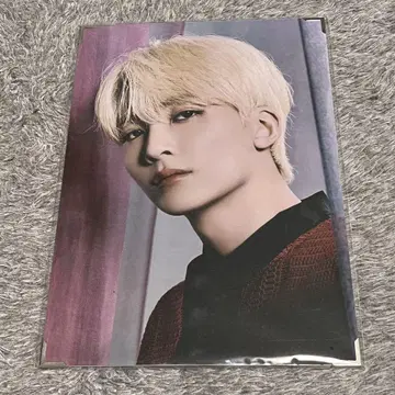SEVENTEEN 정한 프리미엄 사진 power of love