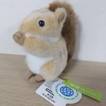 새상품 요시토쿠 봉제 인형 다람쥐 사쿠