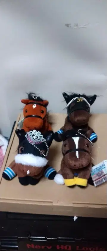 아이돌 호스 4종 세트