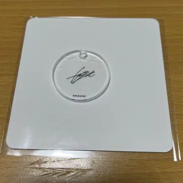 SEVENTEEN ARTIST MADE DIY 키링 정한