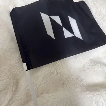 INI 플래그 시크릿 라이브