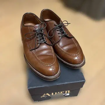 Alden 284 U칩 스카치 그레인 가죽 6D
