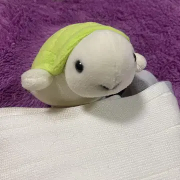 whing 거북이 봉제 인형 선 레몬