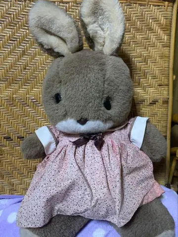 선애로우의 토끼