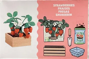 miniverse strawberries