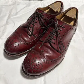 chausser 윙팁 버건디