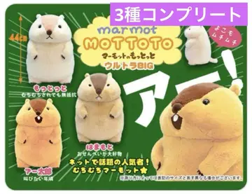 새상품 마모트의 모토토 울트라 BIG 봉제 인형 전 3종 세트