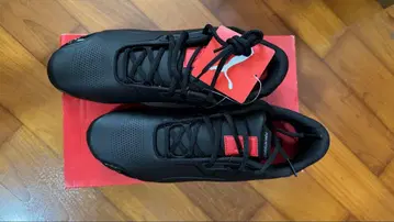 PUMA SF 드리프트캣 8 LS