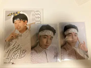 브로마이드 & 폴라로이드 네스