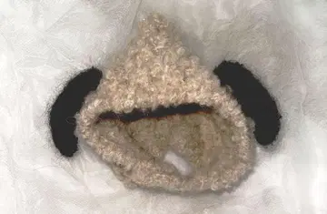 브라이스 강아지 모자 일본 국내 작가님 작품