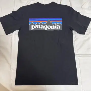 Patagonia 티셔츠
