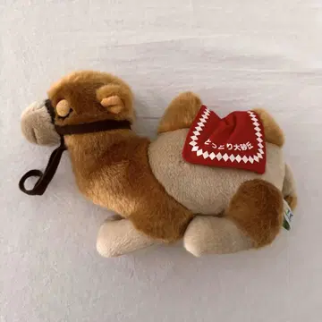 돗토리 대사구 돗토리 사구 낙타 봉제 인형 CUTE