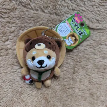 여행하는 작은 콩 찹쌀떡, 신라 도자기 타누키