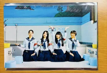 영화 '청춘 멧돼지' 입장객 혜택 엽서