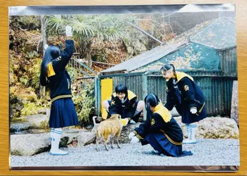 영화 청춘 이노시시 입장객 혜택 엽서