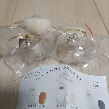 우리 아이의 털뭉치 삼색 고양이 노멀