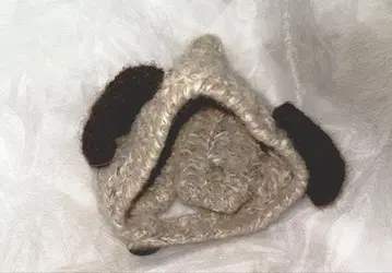 브라이스 강아지 모자 일본 국내 작가