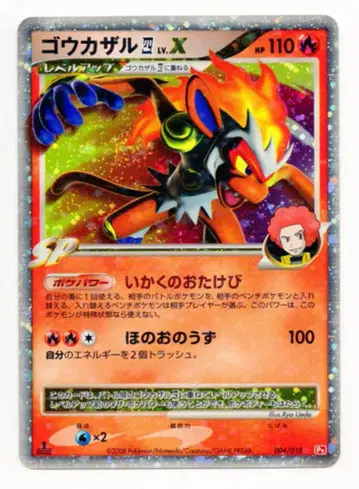 Pokemon Pt 004/018 초염몽 LvX (반짝)