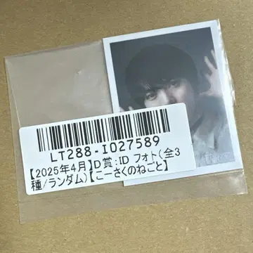 켄지 코이즈미 ID 사진