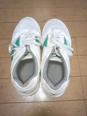 MIZUNO 미즈노 체육관 신발 25cm