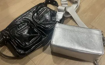 지나시스 세트