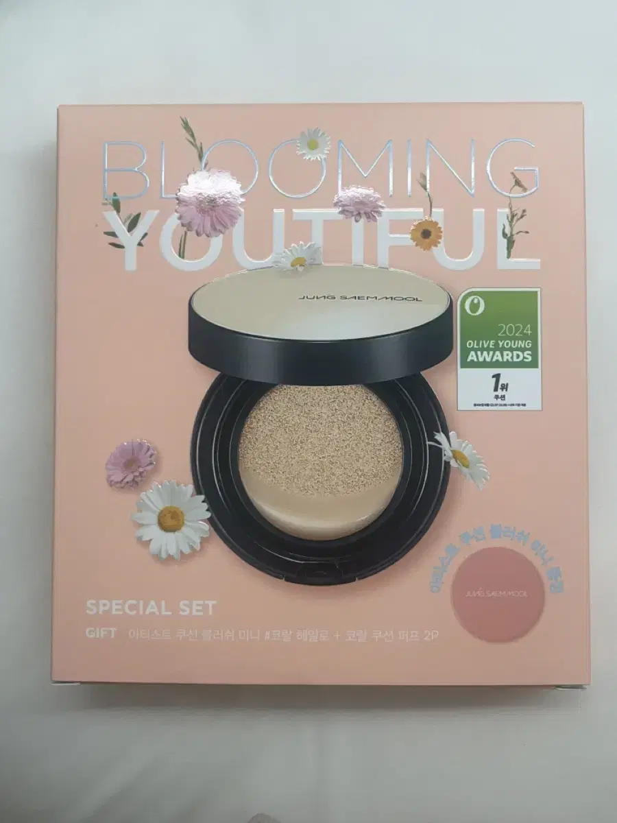 Jungsaemmool Skin Nuder Cushion No. 17 Fair Light (Blusher Special Set)