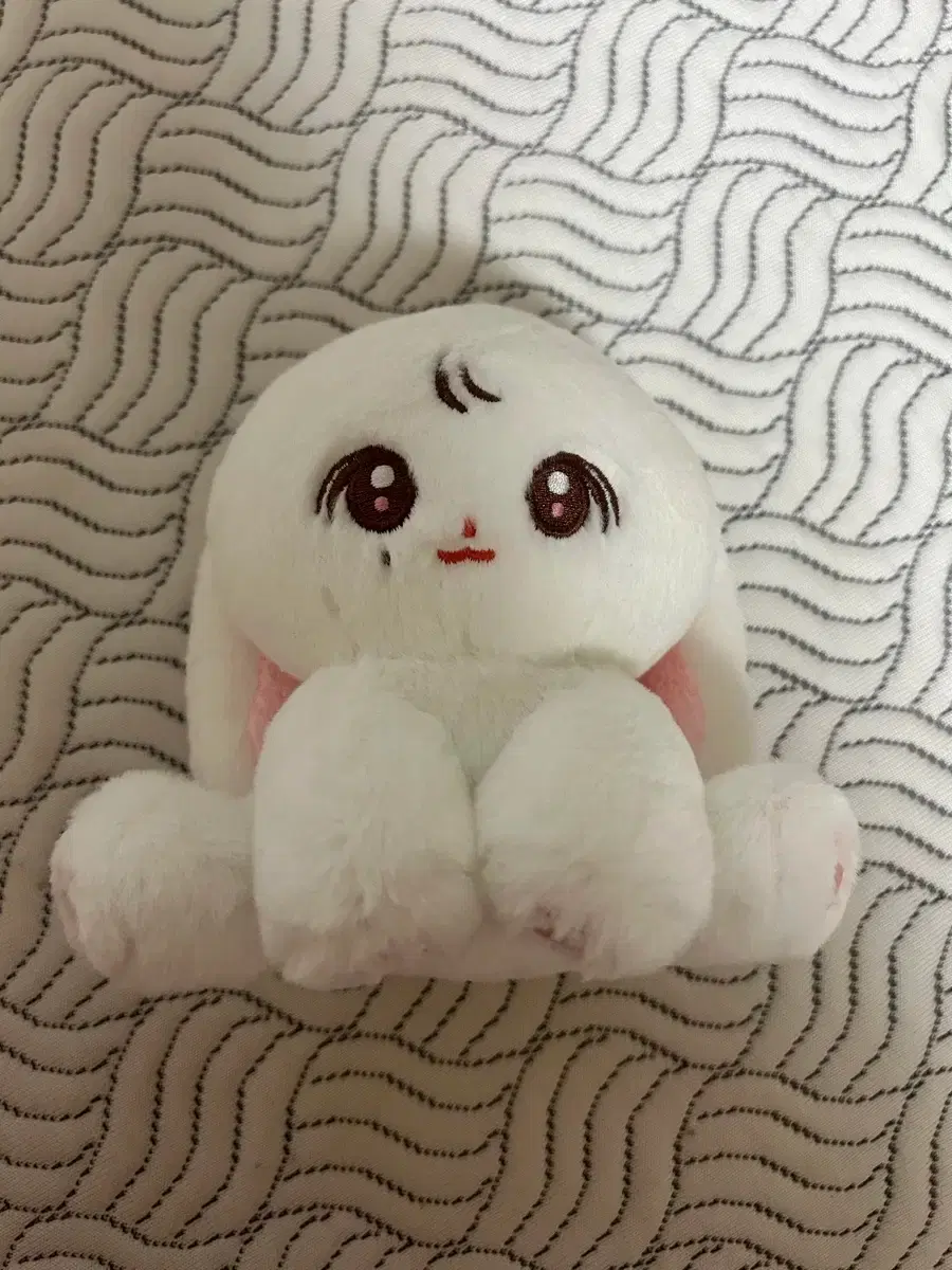 Price reduced)) Seventeen Jeonghan flower hanni doll wts