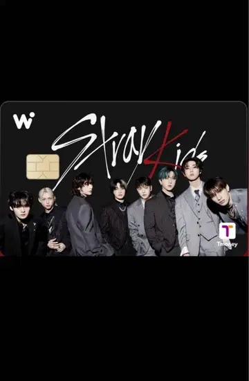Stray Kids WOWPASS 와우패스 스키즈 공식 카드 올