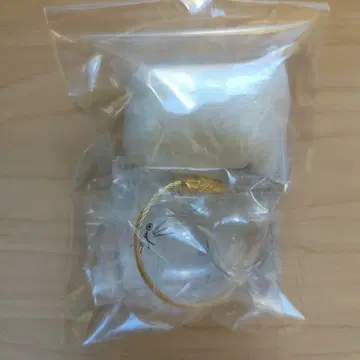 노멀 우리 아이의 캣타마