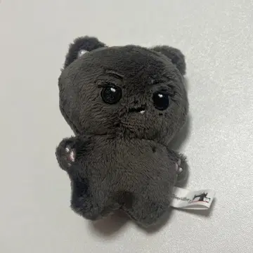 ENHYPEN 제이 봉제 인형 10cm 마스터