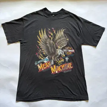 Harley Davidson 1988년식 이글