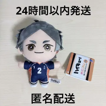 하이큐!! 미코레! 봉제 인형 마스코트 2 스가하라 허리