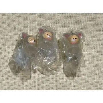 스키즈 메지루시 액세서리 폭시니