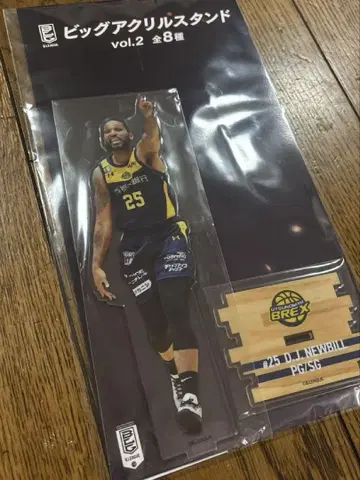 B.LEAGUE GiGO 빅 아크릴 스탠드 D.J. 뉴빌