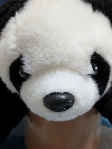 팬더 봉제 인형(클리닝 완료)