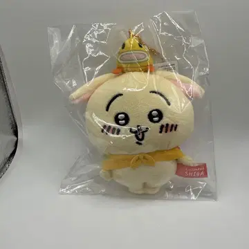치이카와 비와호 토끼 마스코트