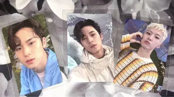 SEVENTEEN 세부치 SECTOR17 리파케 트레이딩 카드 민규 호시